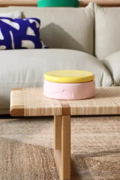 Voorkant -klevering Winkel x886x886 klevering flake voorraadpot 22x5 x 9 5 roze.jpg.pagespeed.ic .RG08tzlvJz