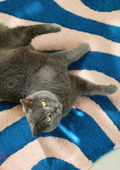 & Klevering &klevering Liquid Vloerkleed 85x115 Groen 12 & Klevering &klevering Liquid Vloerkleed 85x115 Groen -klevering Winkel x886x886 klevering liquid vloerkleed 85x1154.jpg.pagespeed.ic .EvsYIkVUOW