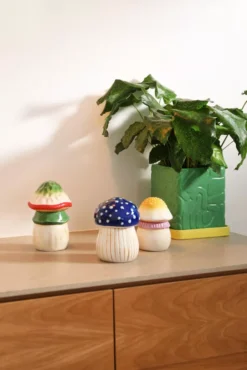 Voorkant -klevering Winkel x886x886 klevering magic mushroom voorraadpot large.jpg.pagespeed.ic .YFU5YxWmn8